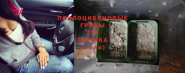 мдпв Рославль